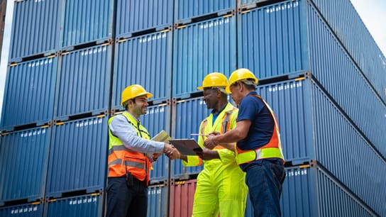 Ingeniero industrial masculino y capataz controlan la verificación de contenedores