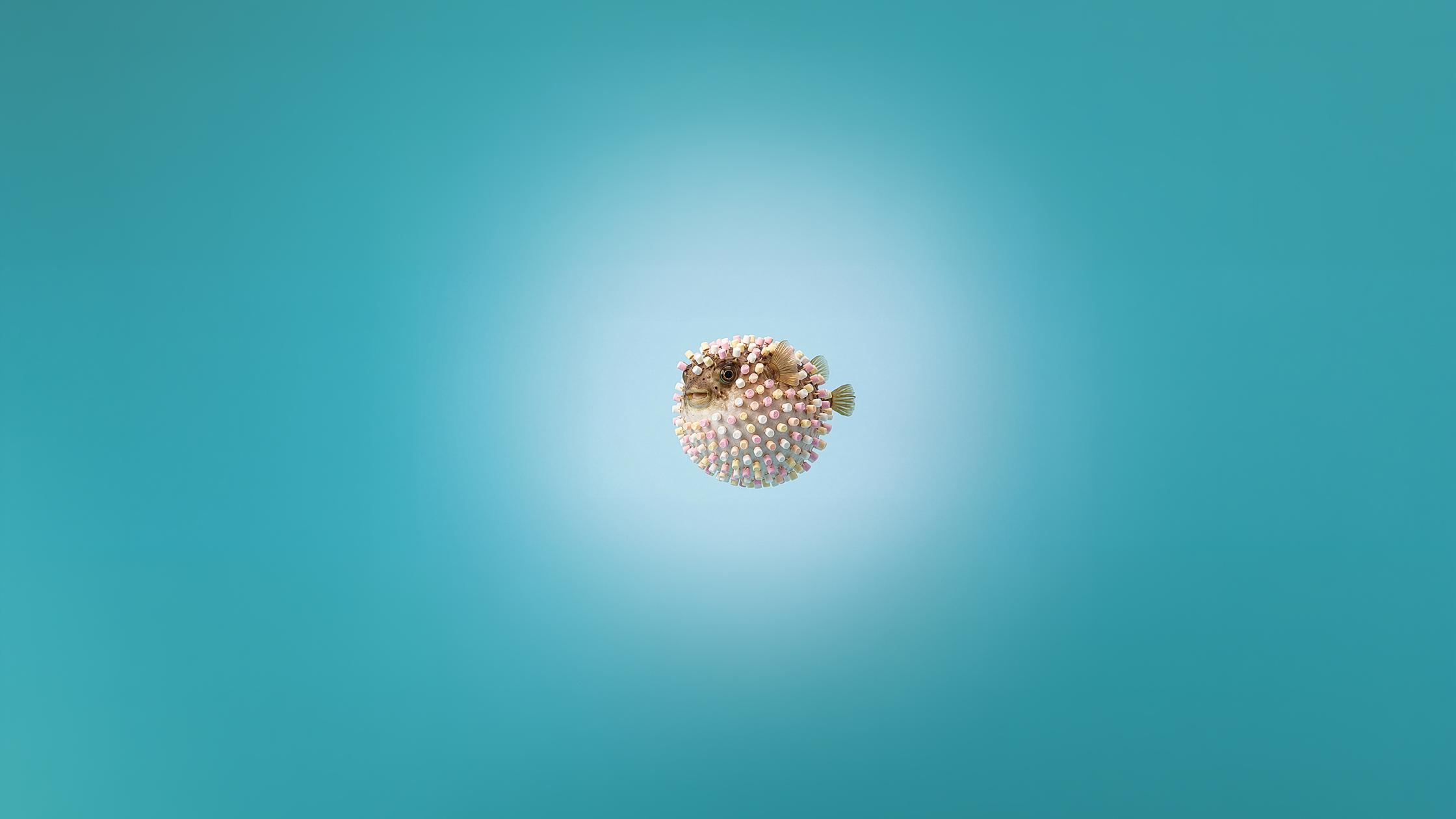 Acorn with teal background.
