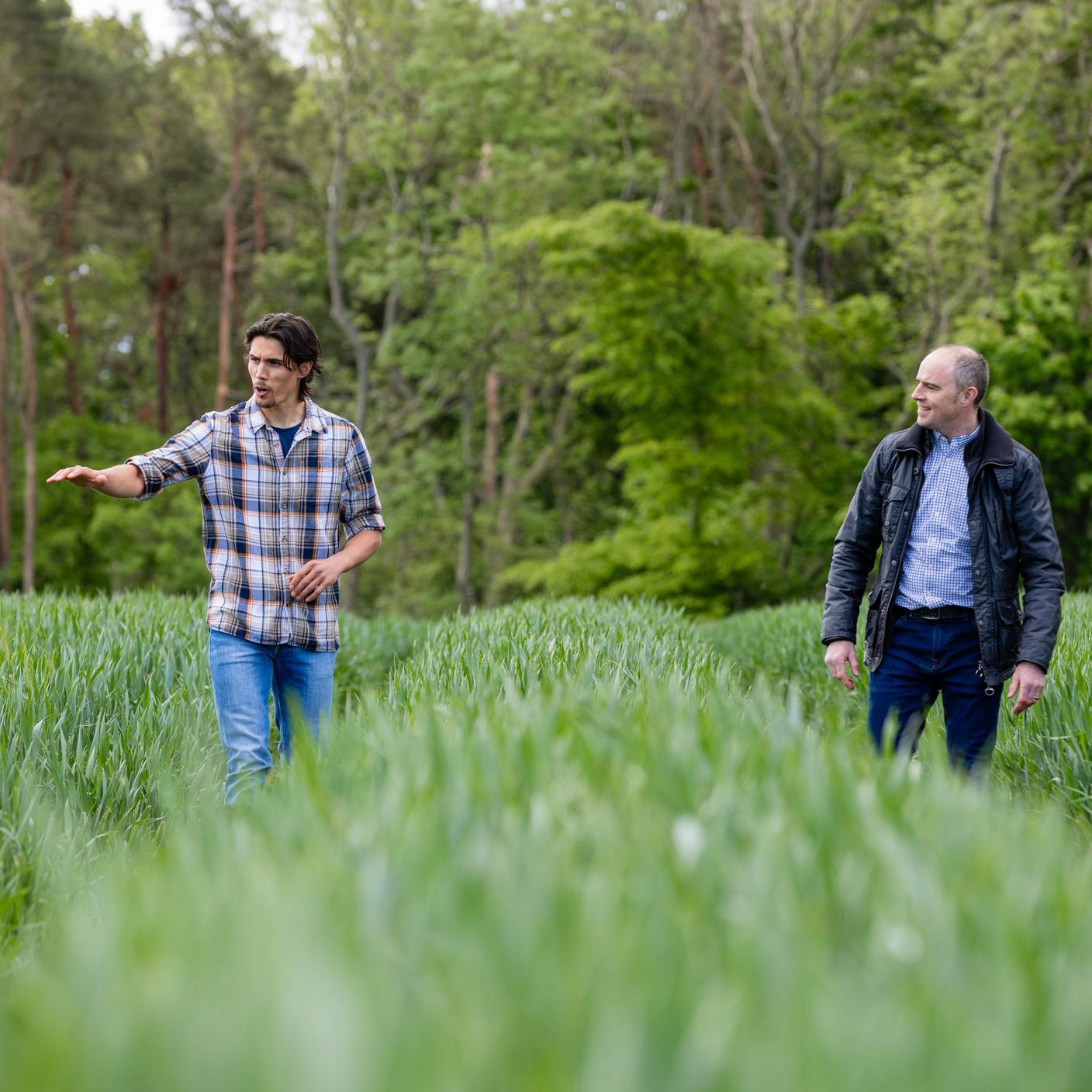 Um fazendeiro caminhando pelos trilhos do bonde no campo de trigo em sua fazenda sustentável