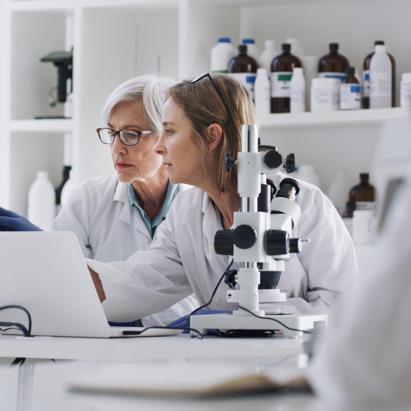 lab workers on laptop at medical lab